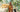 Behind the Scenes of Artisanal Perfumery: The Journey from Botanicals to Bottle